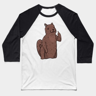 Grumpy Squirrel Holding Middle finger funny gift Baseball T-Shirt